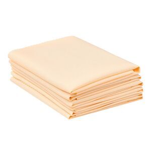 6 Pack Polyester Napkins for Restaurant Dinner Banquet 19x19inch Champagne